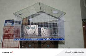 Australian parrot Big Cage