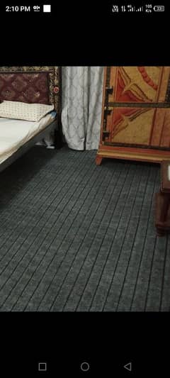 carpet