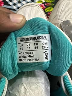 KOOKABURRA