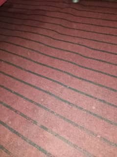 carpet