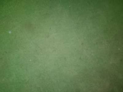 carpet and qaleenr green color or qaleen red color