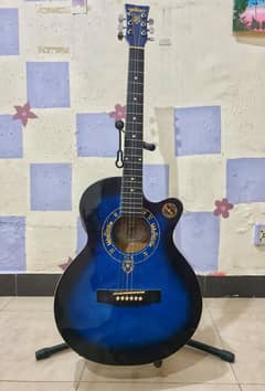 wolfking semi-acoustic guitar professional