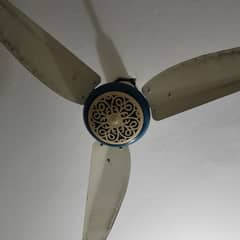 celling fan