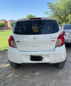 Caltus Vxl (AGS) 2019