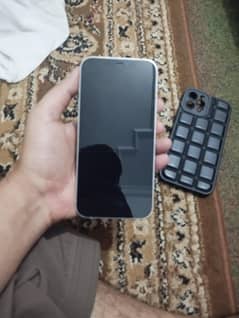 12 pro maxx