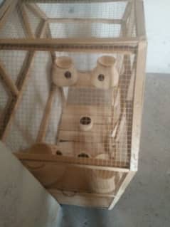 Birds Cage