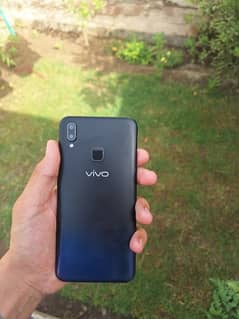 vivo