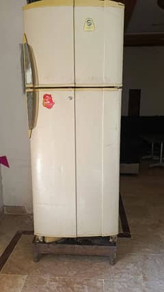 PEL