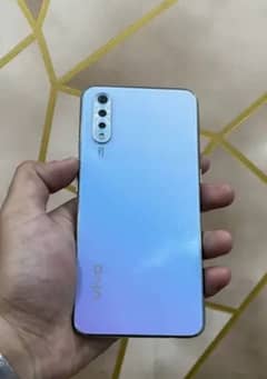 vivo