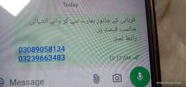 Quarbani ke janwar zibah kerbwaye