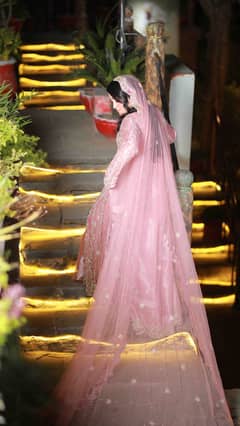 Walima