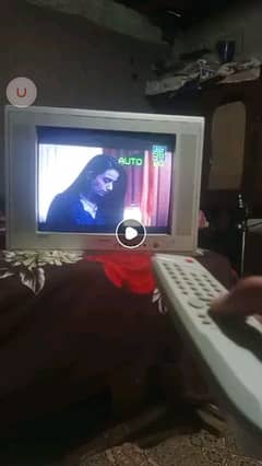 tv nobal