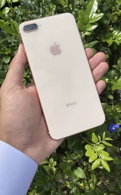Iphone 8 plus total geniune 89 battery 64 gb pta approved