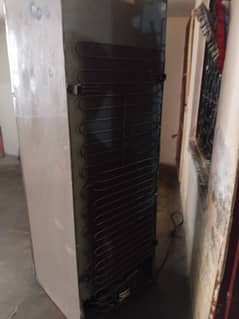 full size fridge electrolux