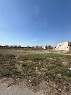 PLOT