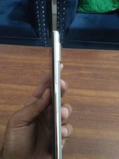 Google Pixel 7 Pro (Dotted)