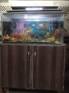 3.5 Ft Glass Fish Aquarium with 4 Fish & Air Filter