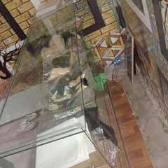 glass table