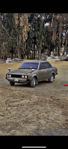 80 corolla