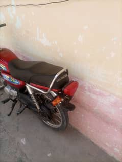 Whatsapp number 03165354425