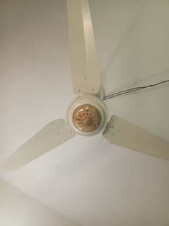ceiling fan for sale two pair