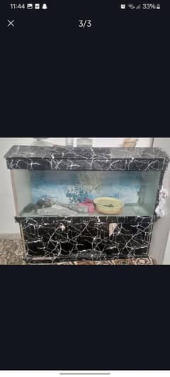 aquarium