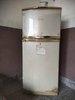 frige urgent sale