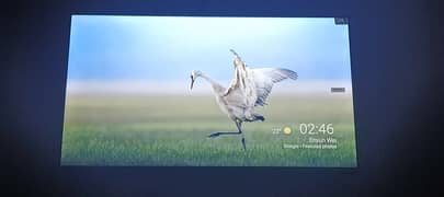 TCL 43l5a