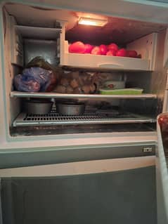 Large capacity Refrigerator/Fridge