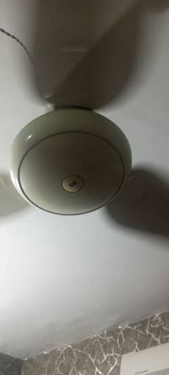sk fan