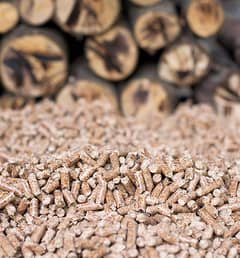  Premium Quality Wood Pellets for Sale