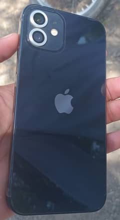iPhone 12