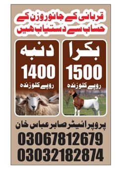 QURBANI