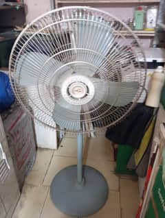 fan