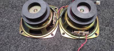 pair of speakers double magnet