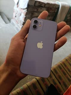 iPhone 12 colour purple