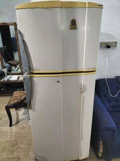 Fridge / Refrigerator