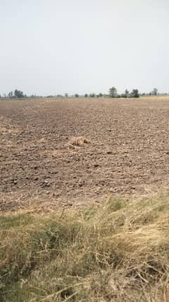 4 Acre Prime Farmhouse Land for Sale Bao Bolla, Near DHA Phase 10