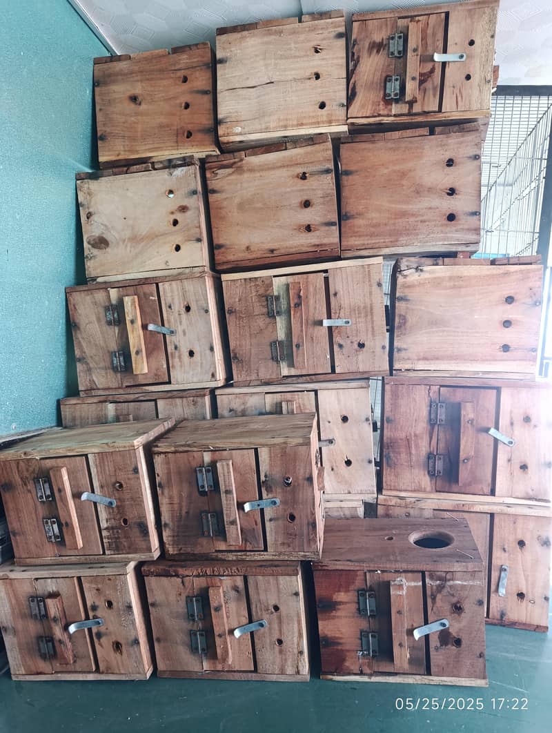 Cages and Boxes Complete Setup 0