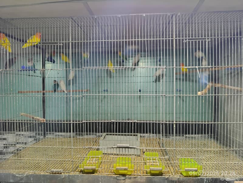 Cages and Boxes Complete Setup 3