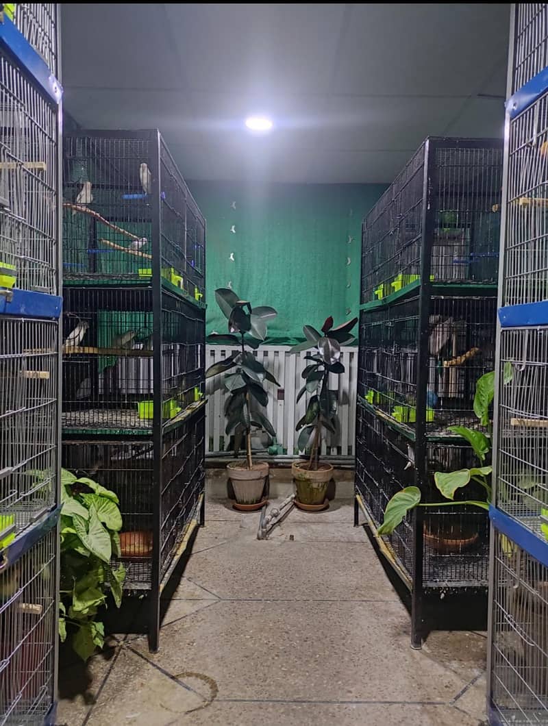 Cages and Boxes Complete Setup 4