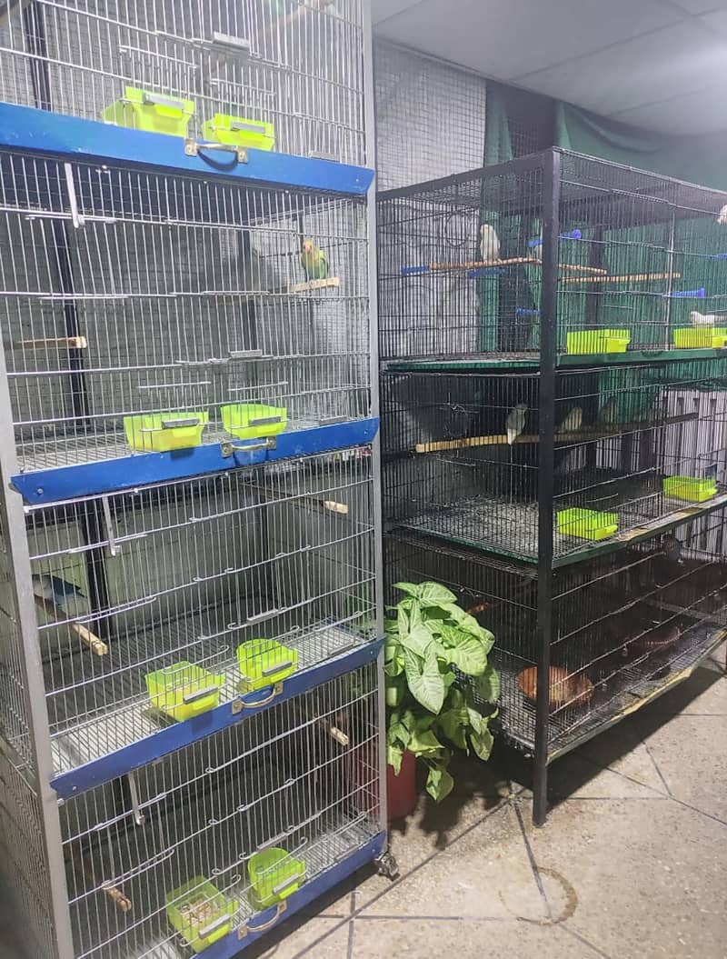 Cages and Boxes Complete Setup 5