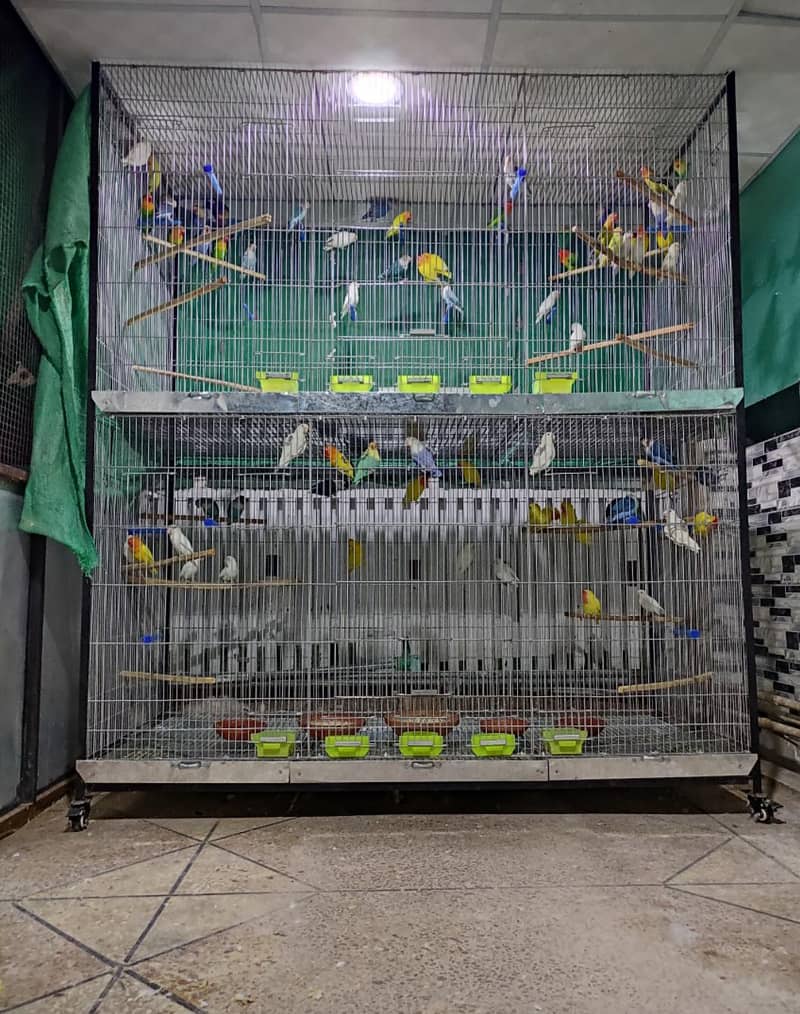 Cages and Boxes Complete Setup 6