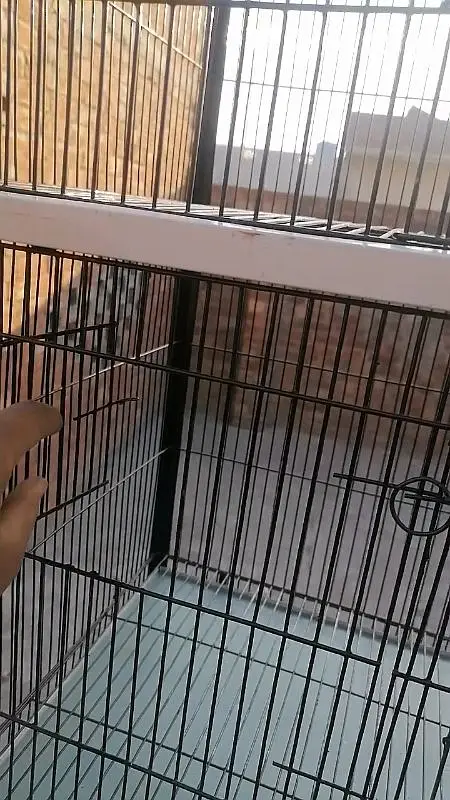 4 portion bird cage 1.5 by 2 — photo 2