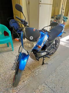 Yamaha