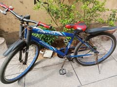 kids cycle