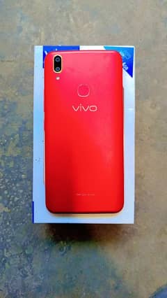 vivo
