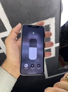 Iphone 11 pro dual pta