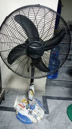 royal fan