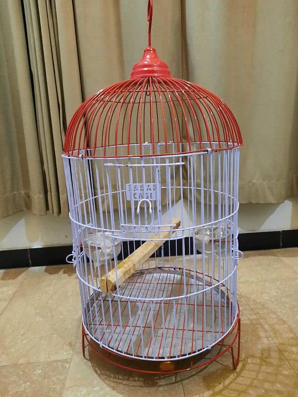 cage bird 0